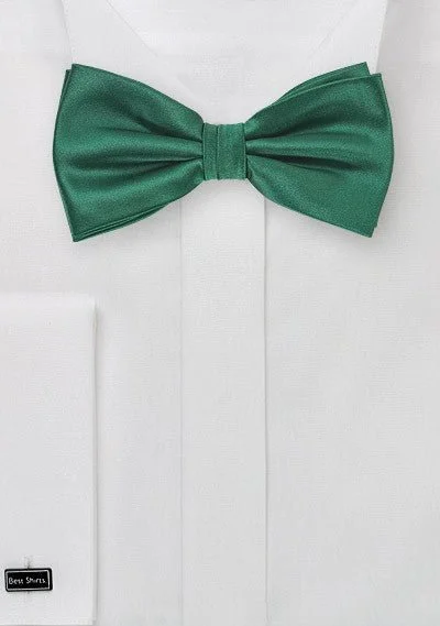 Solid color men's tie-Hunter Solid Bowtie