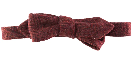 Men's necktie for holiday dinner-Bow Tie V