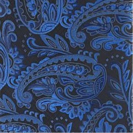 Royal Paisley