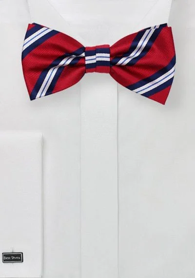 Men's silk tie for interviews-Preppy Red and Blue Repp&Regimental Striped Bowtie