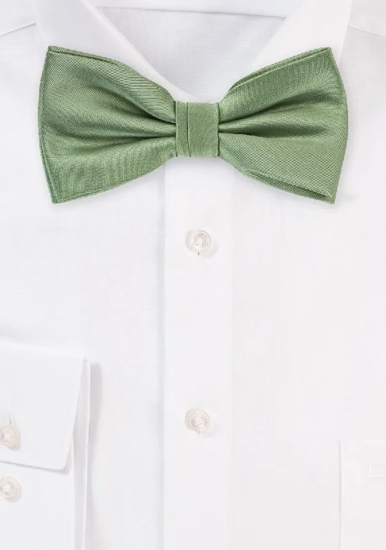 Best quality men's tie-Sage Solid Bowtie