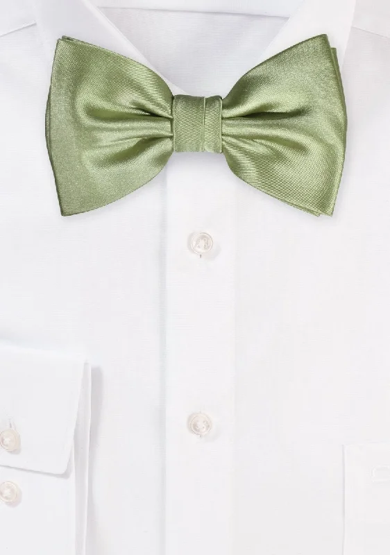 Stylish men's tie-Sage Solid Bowtie